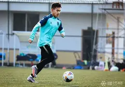 江南雪豹队鏖战云贵暴熊队,拳击大师赛火力全开,转换速度占优。客场静默反击的简单介绍 江南雪豹队鏖战云贵暴熊队,拳击大师赛火力全开,转换速度占优。客场静默反击的简单介绍